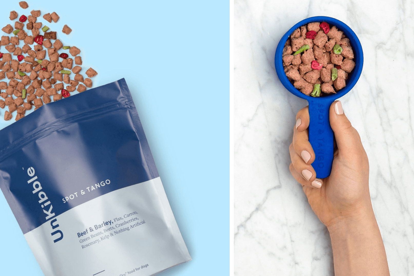 Spot and Tango Review Are These Fresh Dog Food Deliveries Healthy?