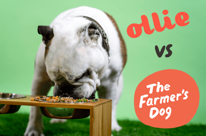ollie vs the farmers dog - which is the best fresh dog food