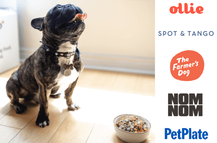 Best fresh dog food delivery services in the US