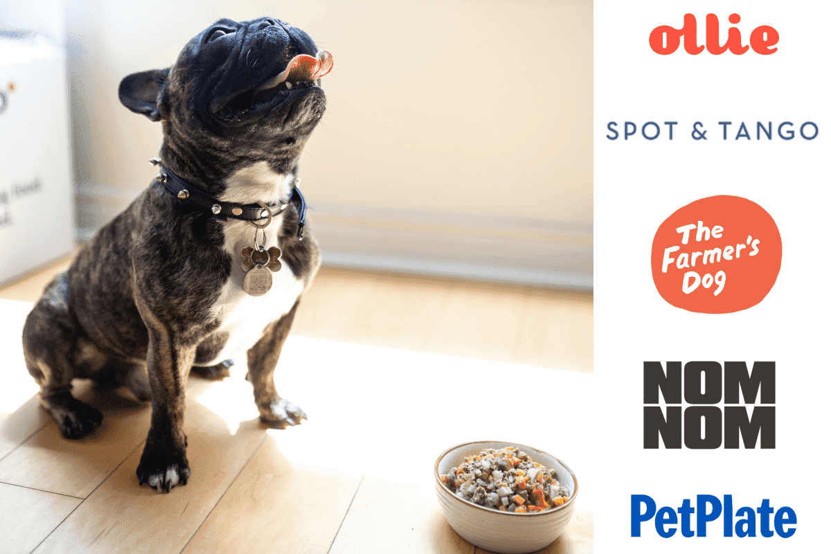 Best fresh dog food delivery services in the US