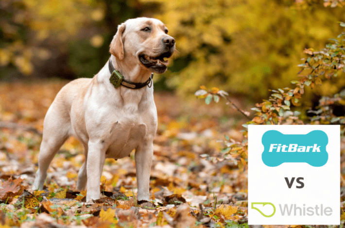 Fitbark vs whistle - best dog activity trackers - best dog location tracker - fitbit for dogs