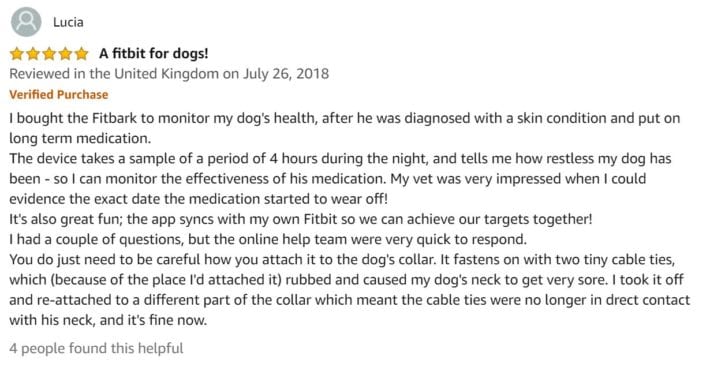 Fitbit Review