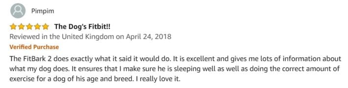 Fitbit Review
