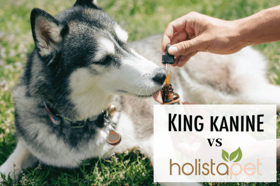 Holistapet vs King Kanine - Holistapet review - King Kanine review - hemp oil vs cbd oil for dogs 3