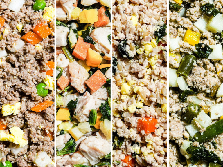 Nom Nom vs The Farmer's Dog Which is the Best Fresh Dog Food?