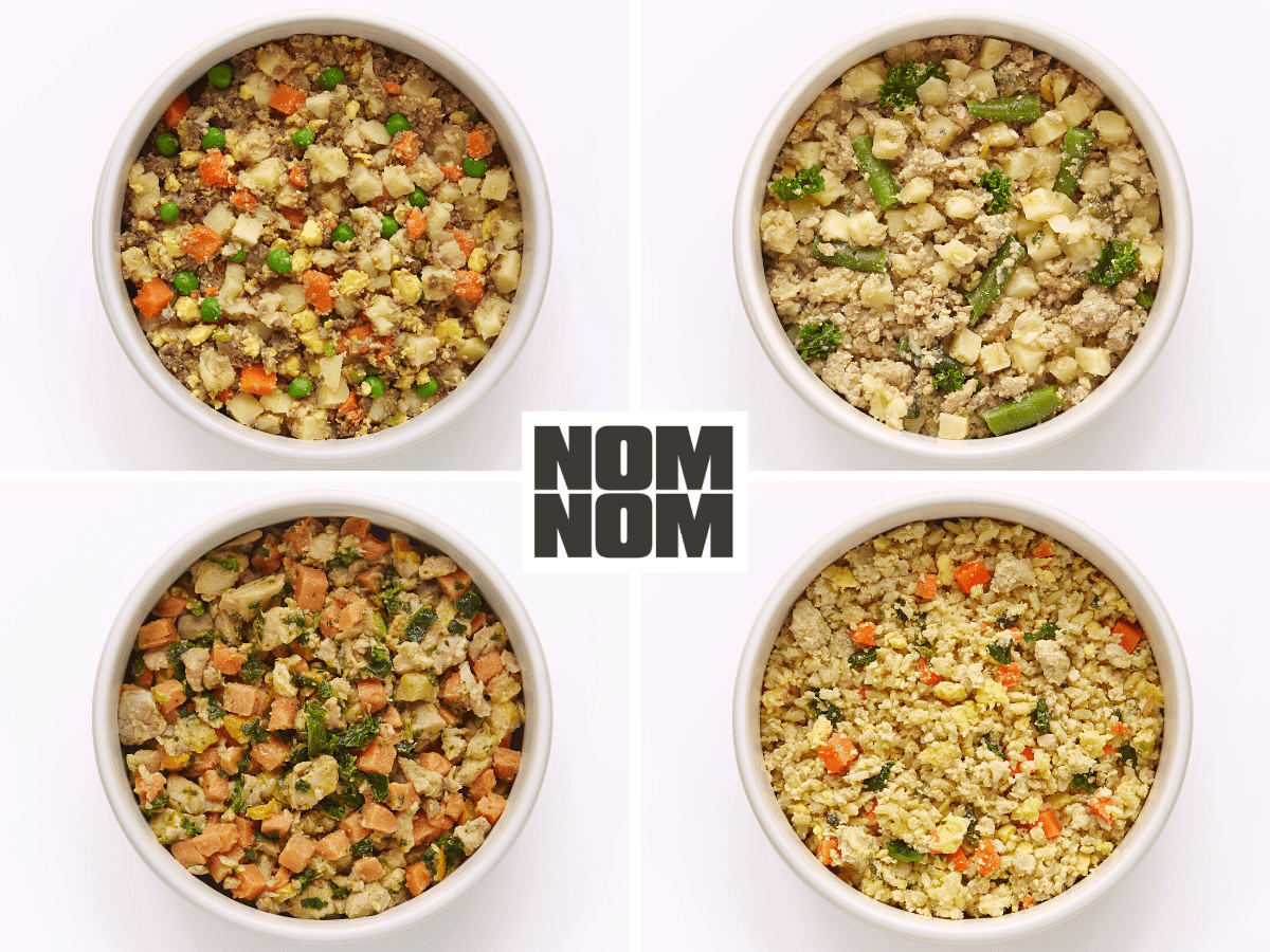 Nom Nom vs The Farmer's Dog Which is the Best Fresh Dog Food?