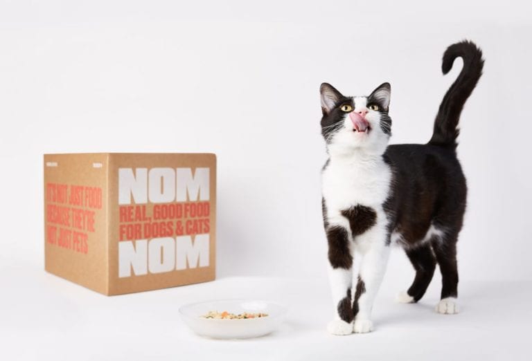 Nom Nom vs Smalls Which is the Best Fresh Cat Food?