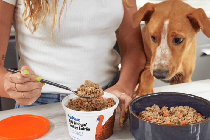 Pet Plate best fresh dog food