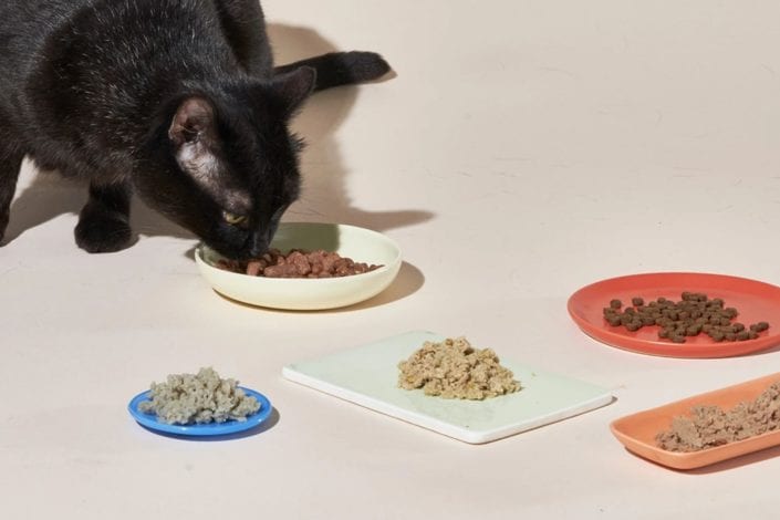 Smalls cat food review - smalls fresh cat food review