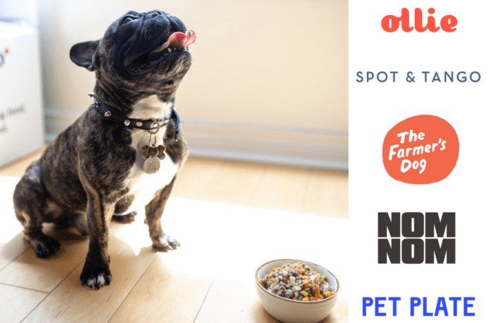 best fresh dog food delivery 2020
