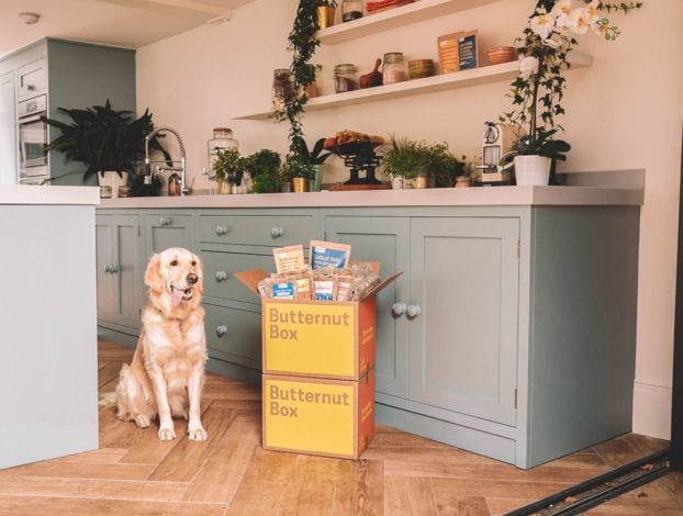 Butternut box review - best fresh dog food uk