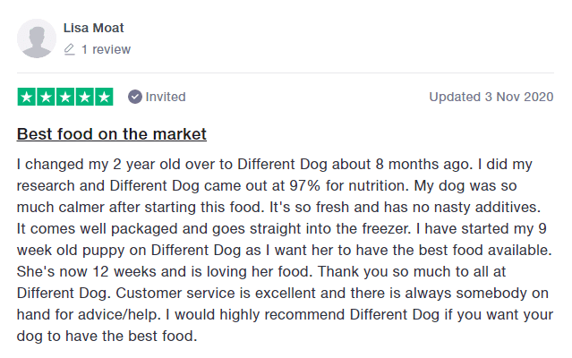 Different Dog review