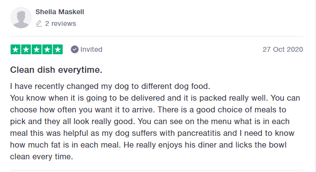 Different Dog review
