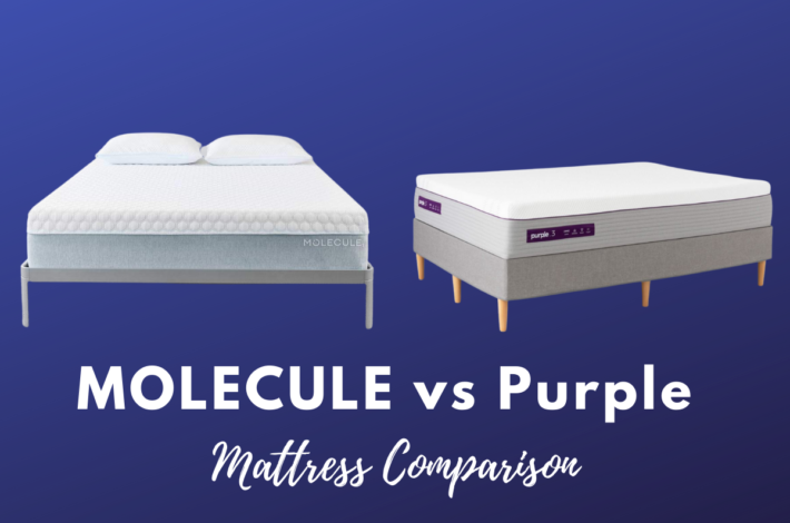 MOLECULE vs Purple mattress comparison