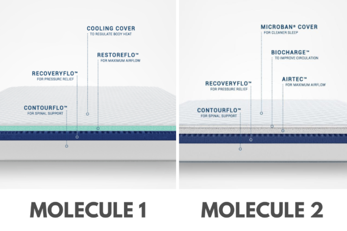 Molecule Mattress Comparison