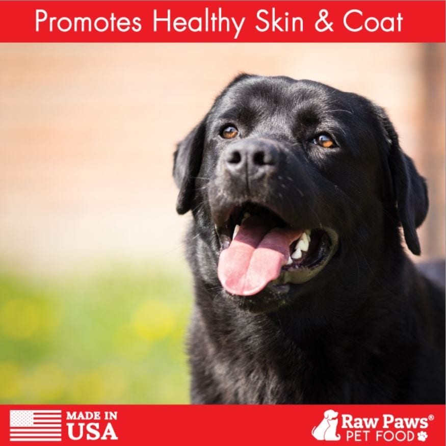 Best Raw Dog Food Supplier Is Raw Paws Pet Food Worth It?