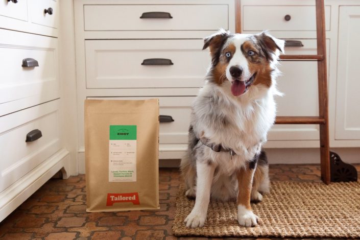 Tailored Pet Review - Best Grain Free Dog Food