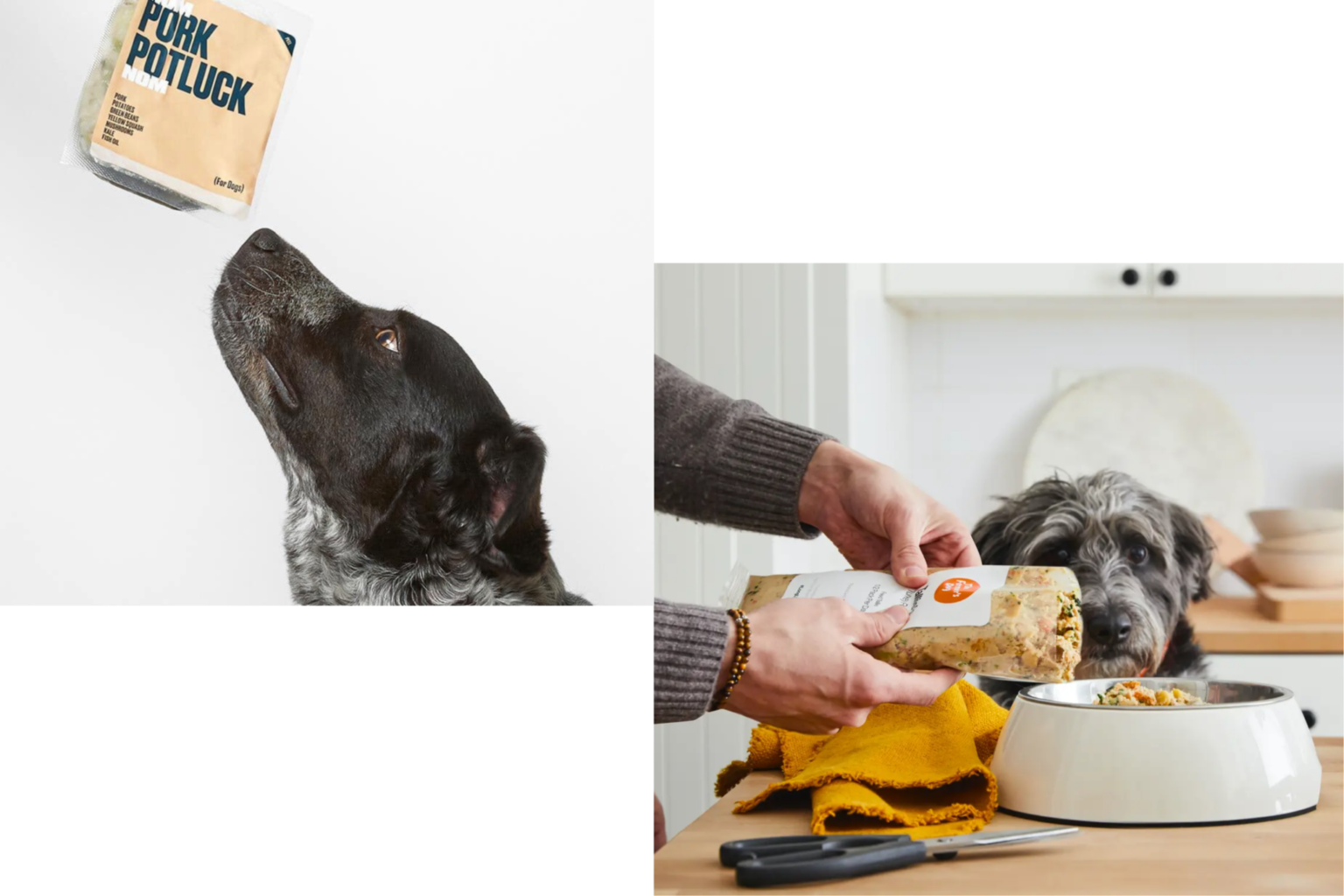 Nom Nom vs The Farmer's Dog Which is the Best Fresh Dog Food?