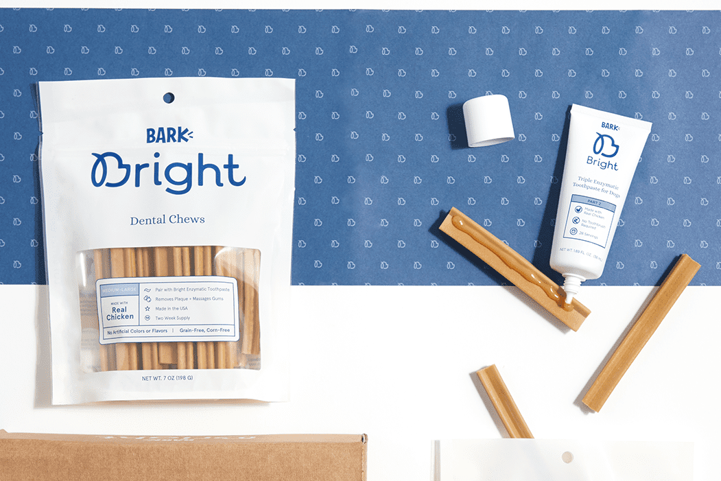 Bark Bright Review Is This Dental Care Subscription for Dogs Worth It?