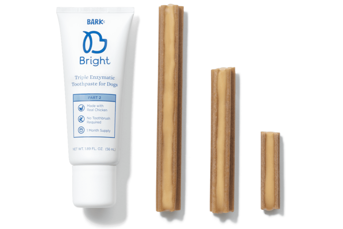 Bark Bright Review Is This Dental Care Subscription for Dogs Worth It?