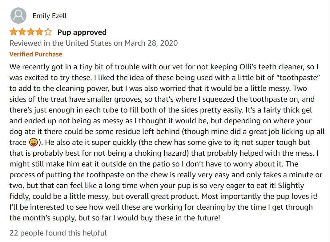 Bark Bright Review Is This Dental Care Subscription for Dogs Worth It?