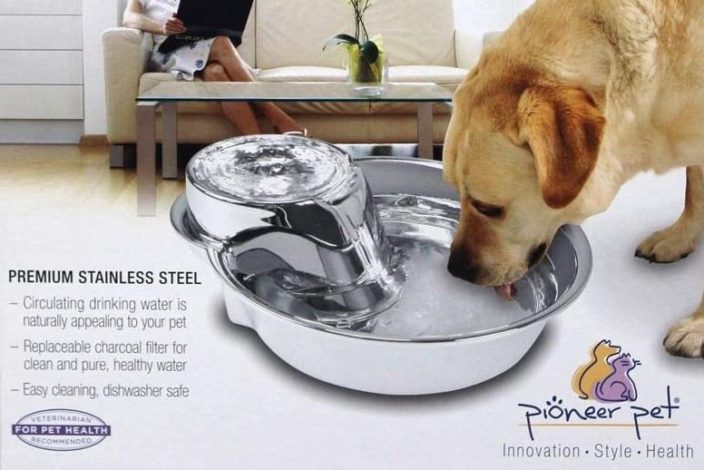 Big Max Drinking Fountain Review