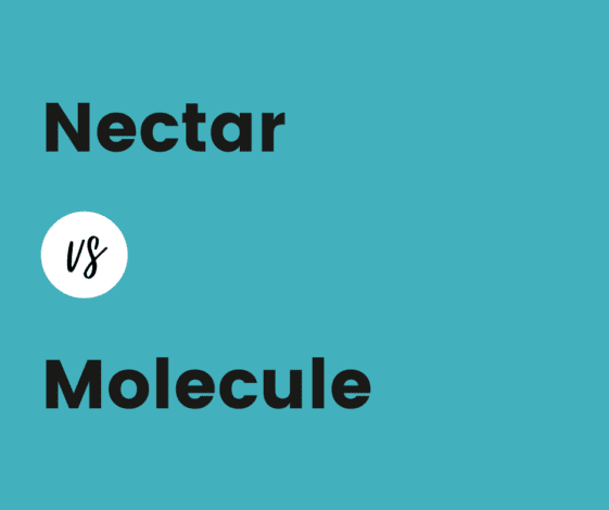 Nectar vs Molecule Mattress Comparison 