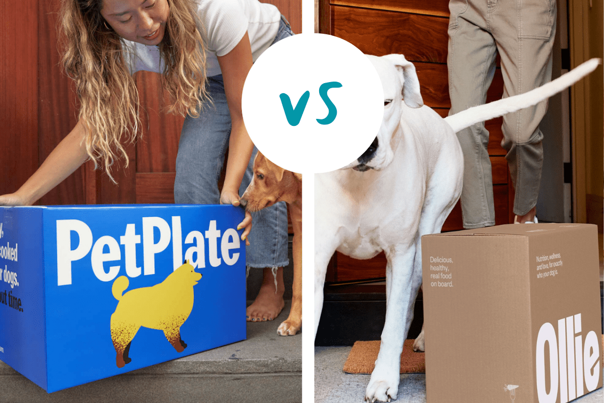 PetPlate vs. Ollie which is better
