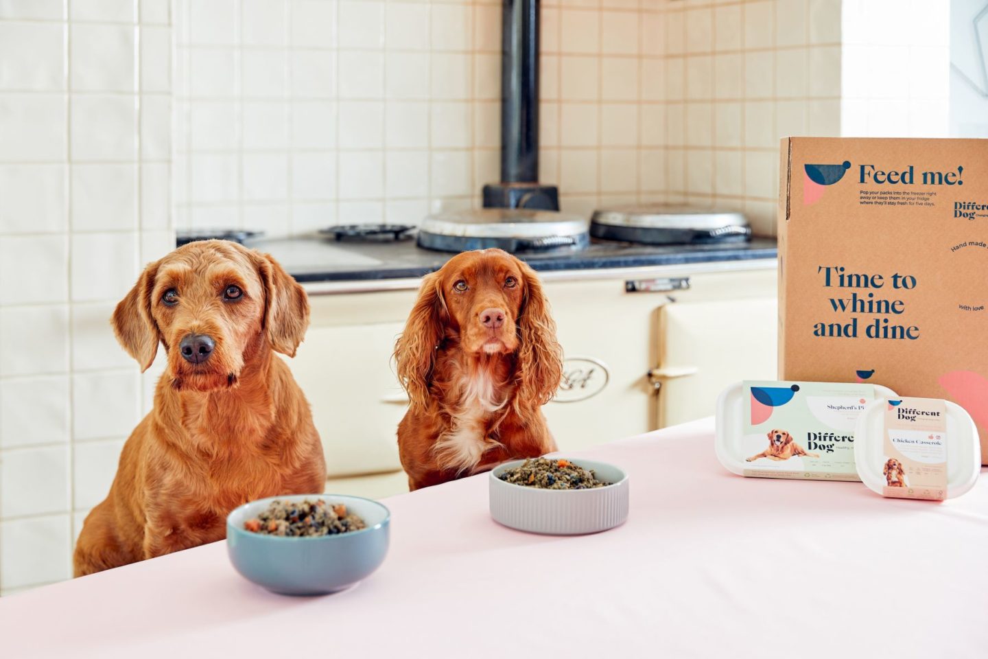 Butternut Box vs Different Dog Which is the Best Fresh Dog Food UK