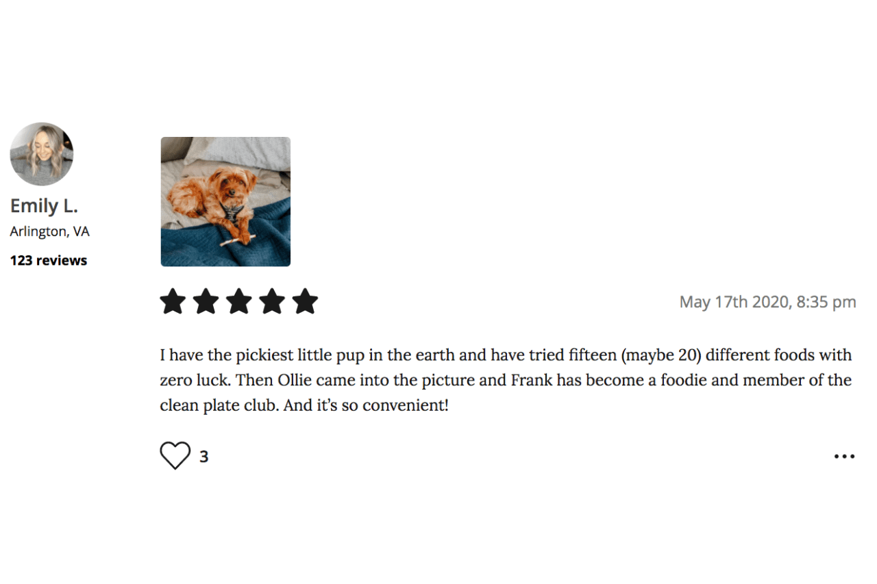 Ollie vs Pet Plate Which is the Best Fresh Dog Food Delivery Service?