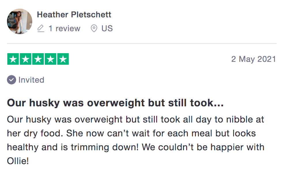 Ollie vs Pet Plate Which is the Best Fresh Dog Food Delivery Service?