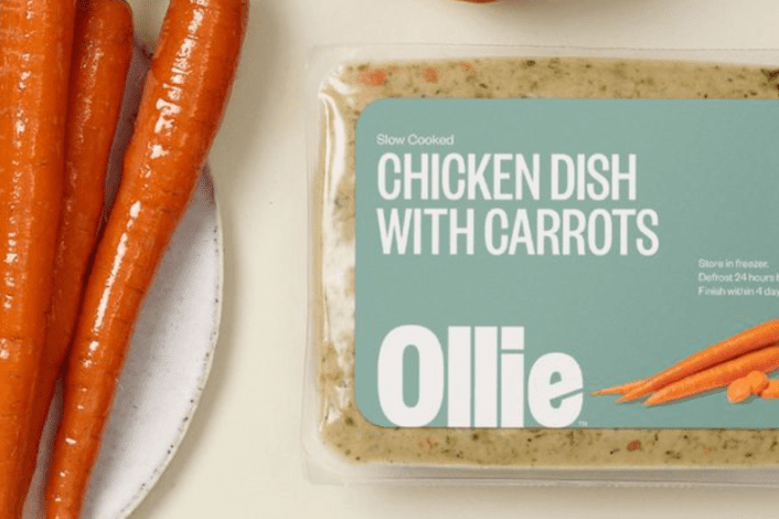 Ollie dog food review